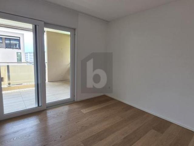 Wohnung kaufen in Bellinzona, Tessin