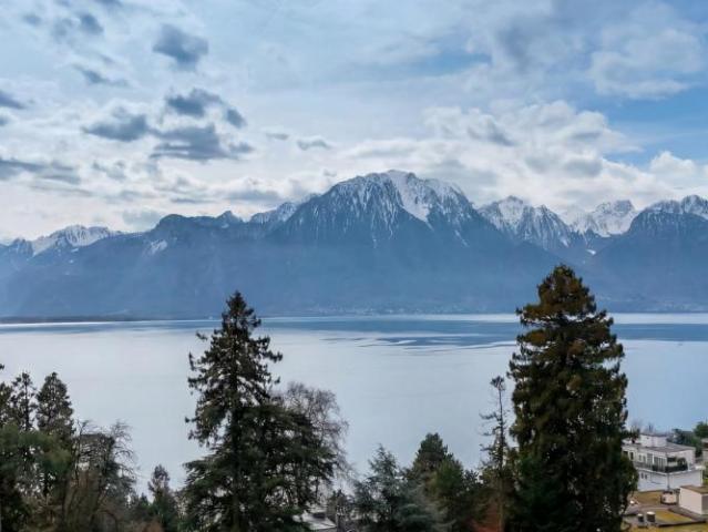 Wohnung kaufen in Chailly-Montreux, Waadt
