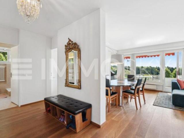 Wohnung kaufen in Birmensdorf (ZH), Zürich