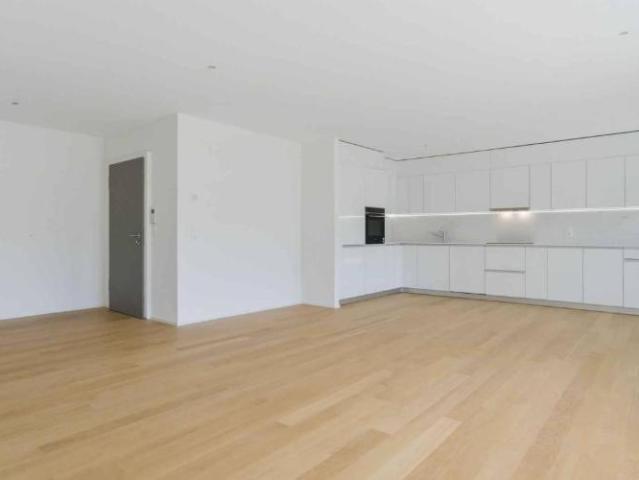 Wohnung kaufen in Rolle, Waadt