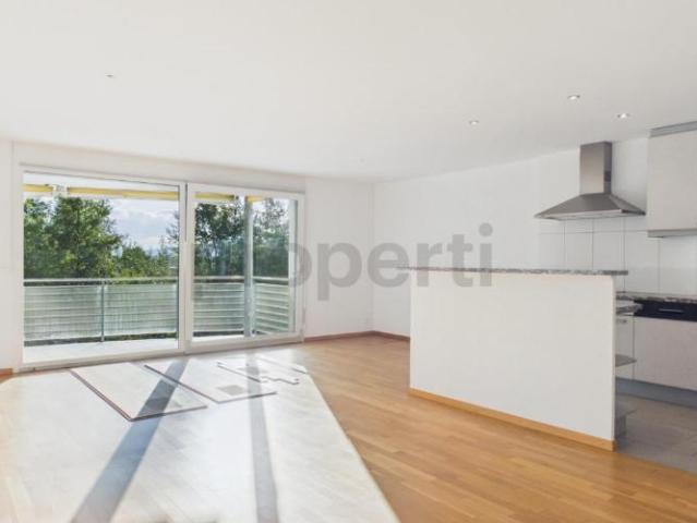 Wohnung kaufen in Wetzikon (ZH), Zürich