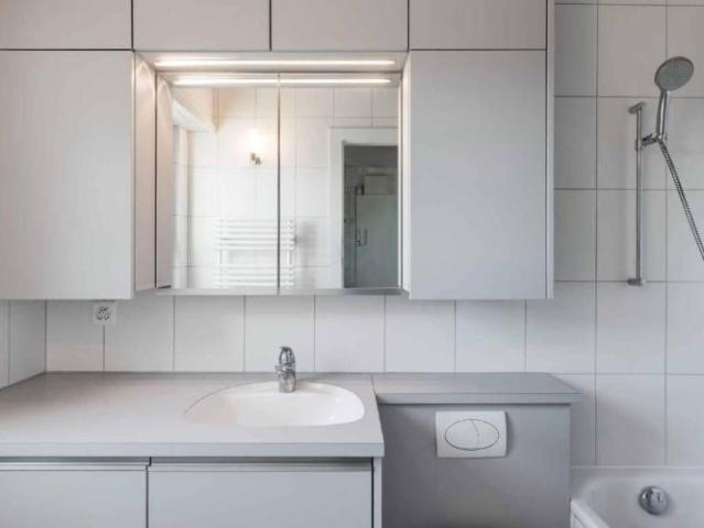 Wohnung kaufen in La Croix, Lutry, Waadt