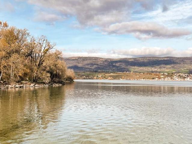 Wohnung kaufen in Yverdon-les-Bains
