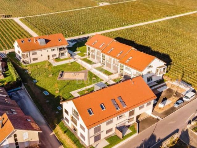 Wohnung mieten in Gilly, Waadt