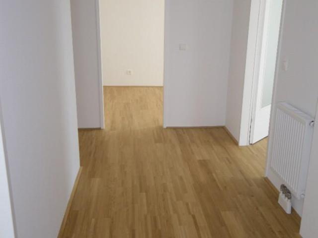 Wohnung mieten in Klein-Schwechat, Schwechat