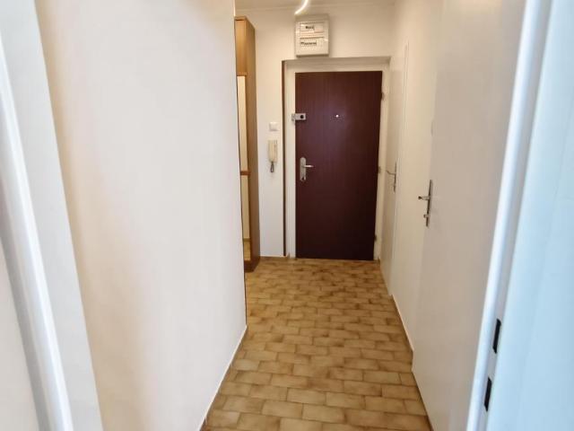 Wohnung mieten in Innere Stadt, Wien