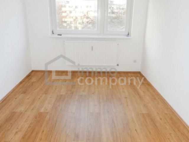 Wohnung mieten in Innere Stadt, Wien