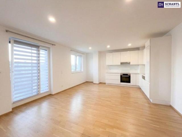 Wohnung mieten in KG Innere Stadt, Wien