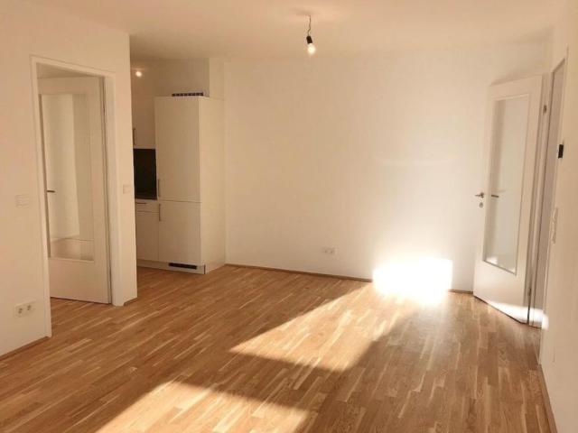 Wohnung mieten in Innere Stadt, Wien
