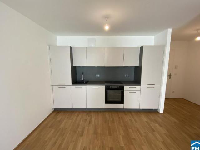Wohnung mieten in Innere Stadt, Wien