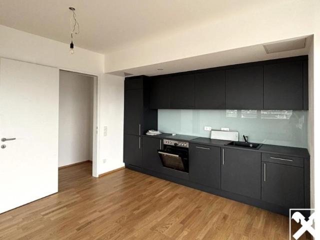 Wohnung mieten in Innere Stadt, Wien