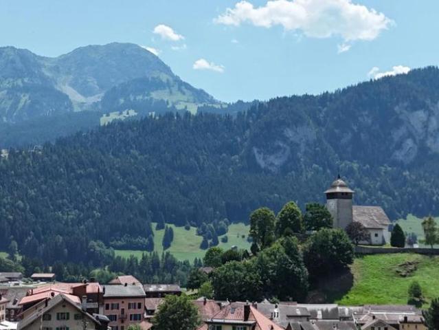 Wohnung kaufen in Château-d'Oex, Waadt