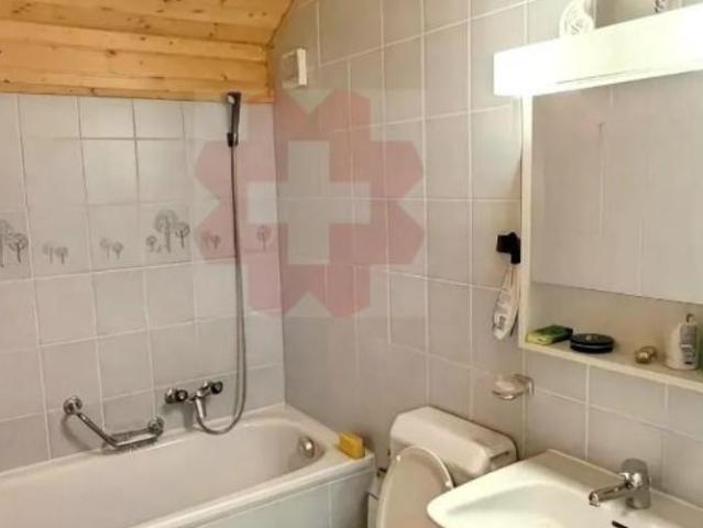 Wohnung kaufen in Les Mosses, Ormont-Dessous
