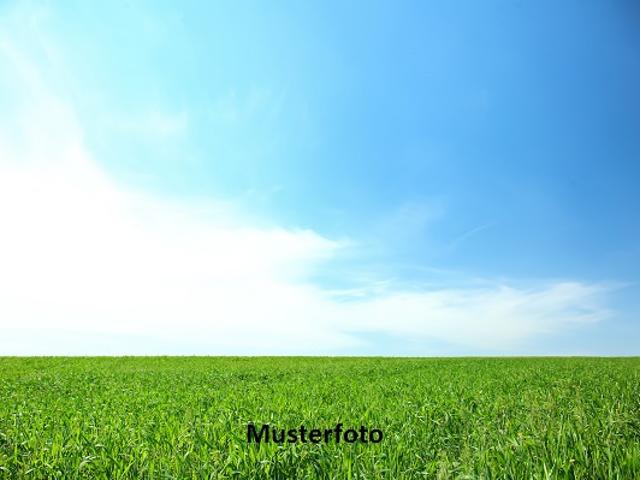 Immobilie kaufen in Wallis