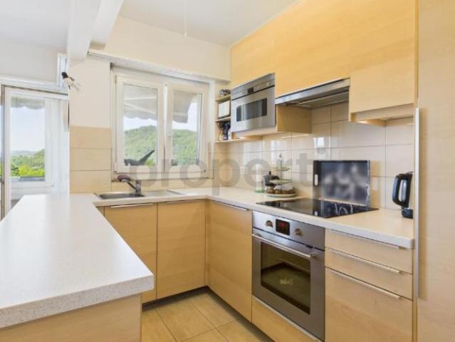 Wohnung kaufen in Aldesago, Tessin