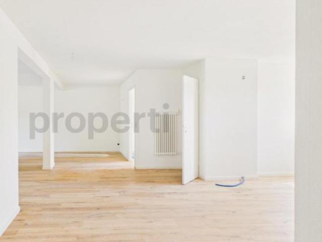 Wohnung kaufen in Hunzenschwil, Aargau