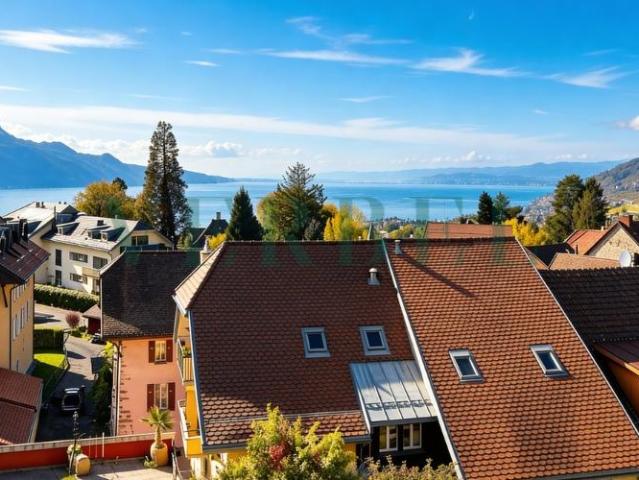 Wohnung kaufen in Blonay, Waadt