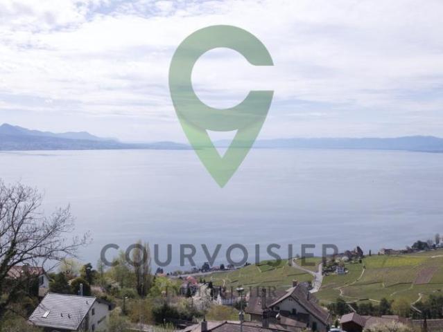 Wohnung kaufen in Bourg-en-Lavaux, Waadt