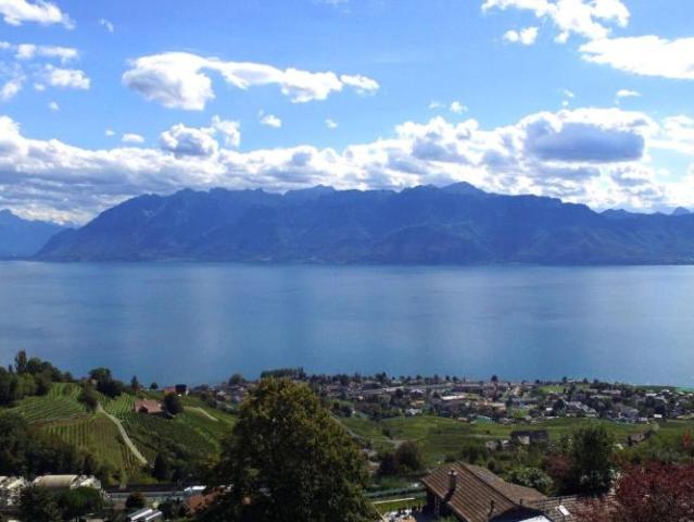 Wohnung kaufen in Bourg-en-Lavaux, Waadt