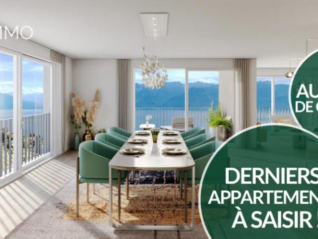 Wohnung kaufen in Vevey, Waadt