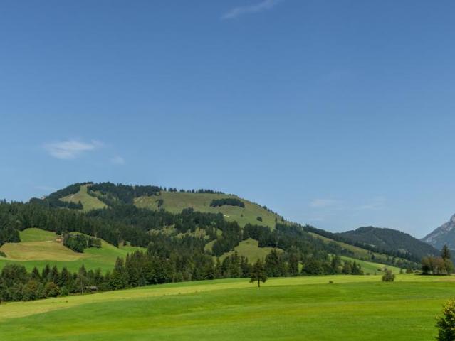 Wohnung kaufen in Hochfilzen, Tirol