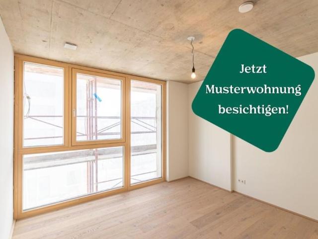 Wohnung kaufen in Innere Stadt, Wien