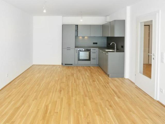 Wohnung mieten in Innere Stadt, Wien