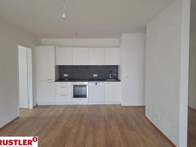 Wohnung mieten in Innere Stadt, Wien