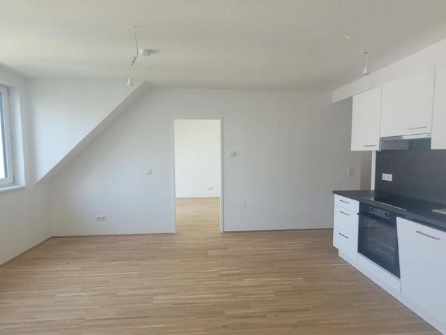 Wohnung mieten in Innere Stadt, Wien