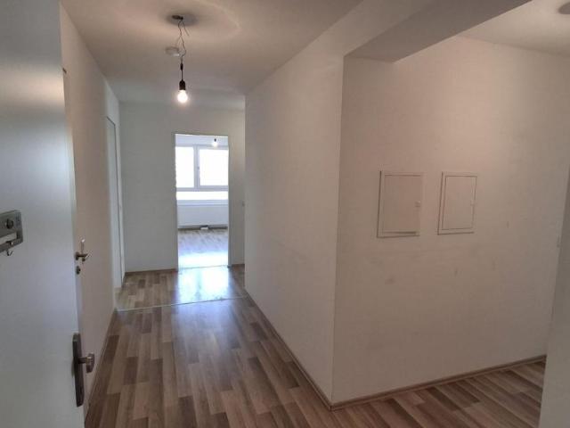 Wohnung mieten in Innere Stadt, Wien