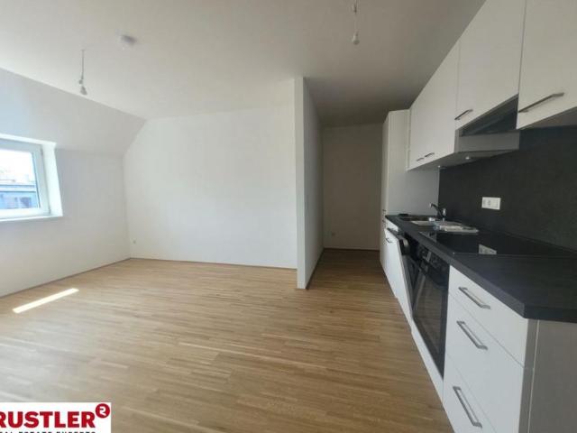 Wohnung mieten in Innere Stadt, Wien