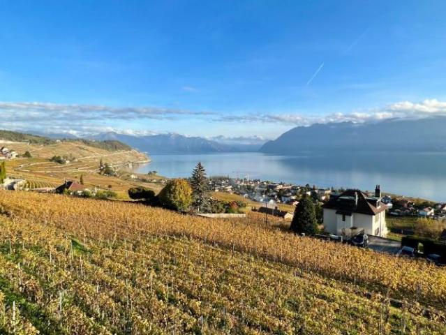 Wohnung kaufen in Bourg-en-Lavaux, Waadt