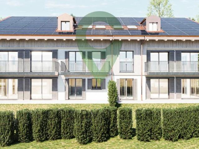 Wohnung kaufen in Gilly, Waadt