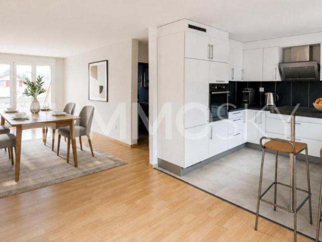 Wohnung kaufen in Lenzburg, Aargau
