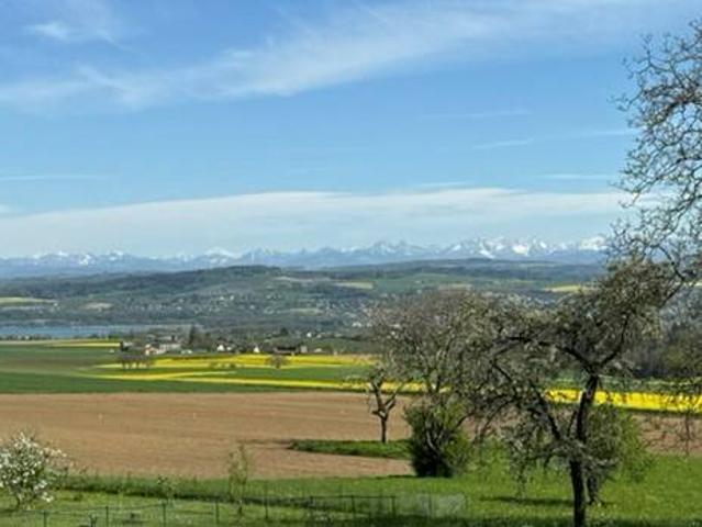 Wohnung kaufen in Valeyres-sous-Montagny, Waadt