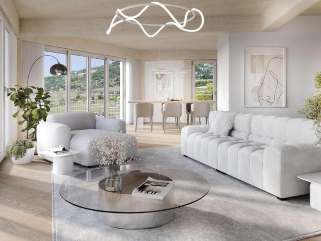 Wohnung kaufen in Vevey, Waadt