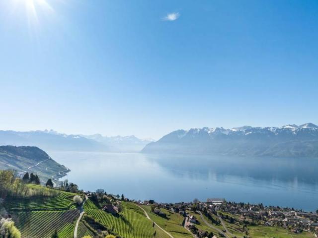 Wohnung kaufen in Bourg-en-Lavaux, Waadt