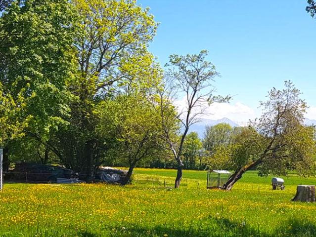 Wohnung kaufen in Savigny, District de Lavaux-Oron