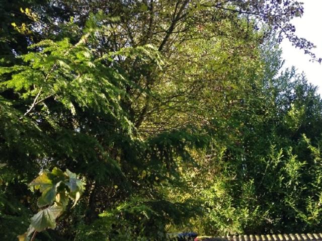 Wohnung mieten in Hörde, Dortmund