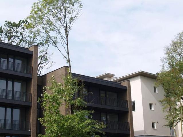 Apartment mieten in Donaustadt, Wien