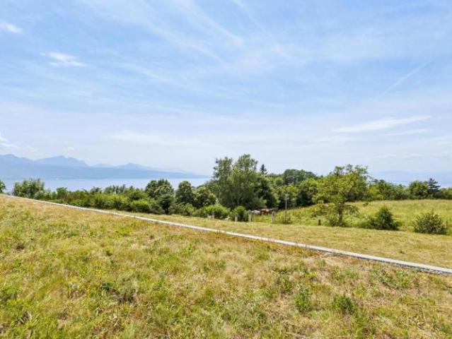Wohnung kaufen in Bourg-en-Lavaux, Waadt