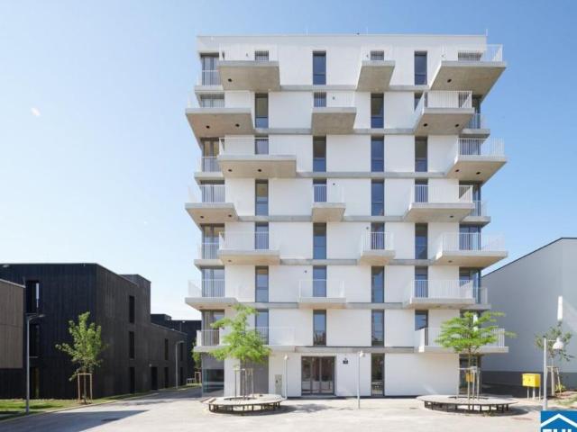 Wohnung kaufen in Innere Stadt, Wien