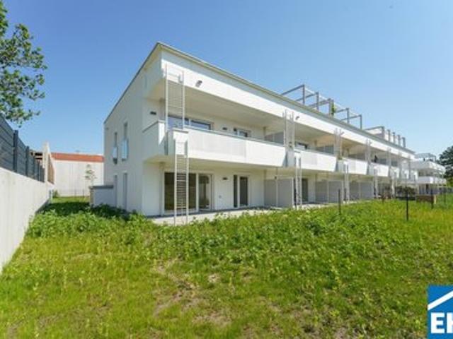 Wohnung kaufen in Maria Enzersdorf, Niederösterreich