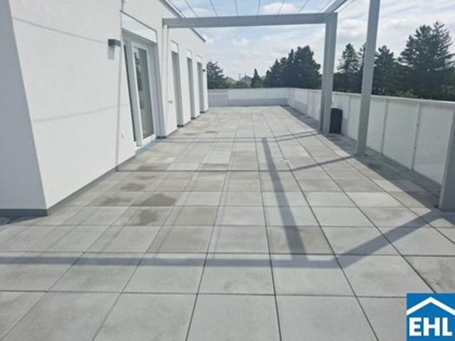 Wohnung kaufen in Maria Enzersdorf, Niederösterreich