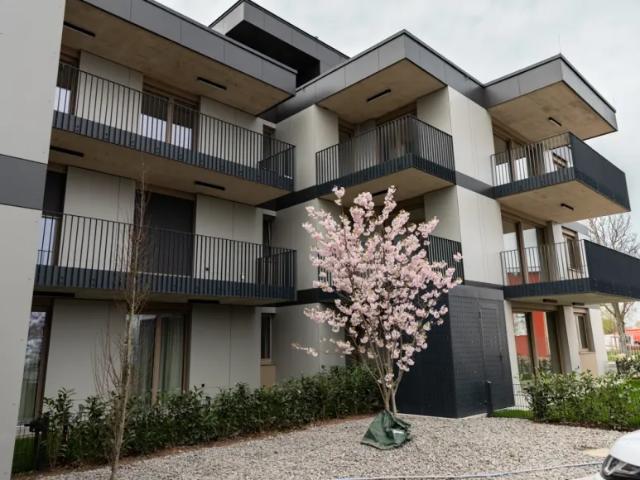 Wohnung kaufen in Achau, Niederösterreich