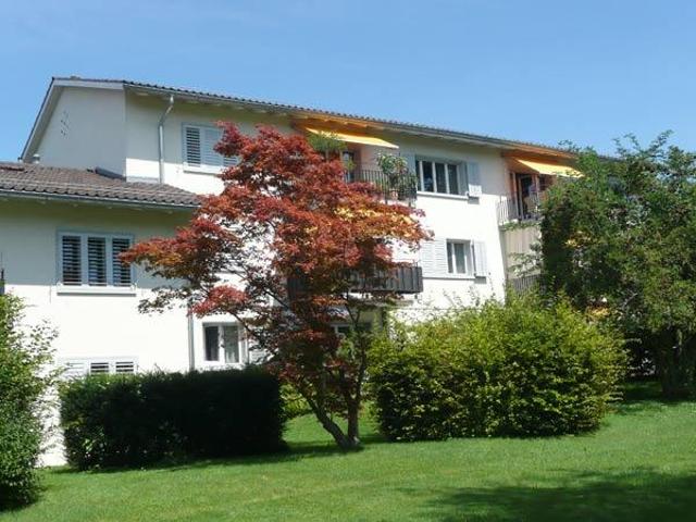 Apartment mieten in Einigen, Zürich
