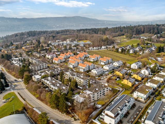 Wohnung mieten in Küsnacht (ZH), Zürich