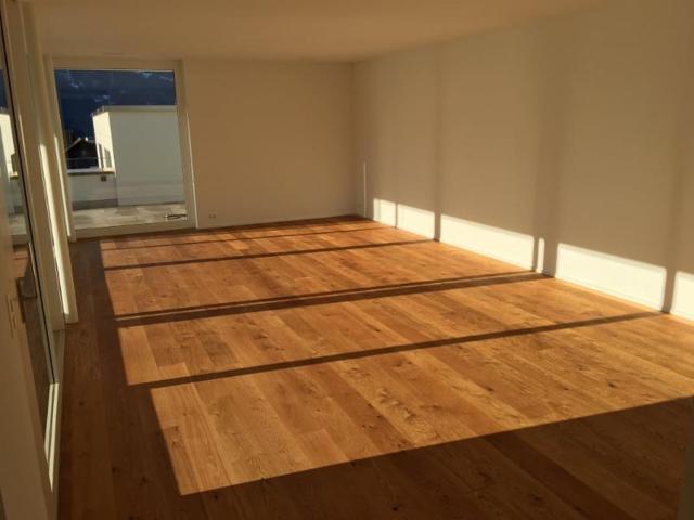 Immobilie kaufen in Altdorf (UR), Uri