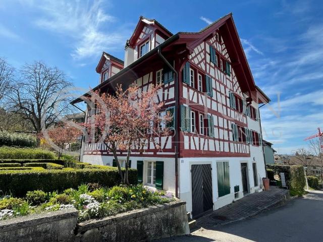 Apartment mieten in Wädenswil, Zürich