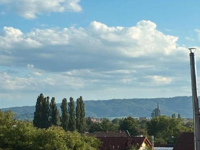Wohnung kaufen in Radolfzell, Baden-Württemberg